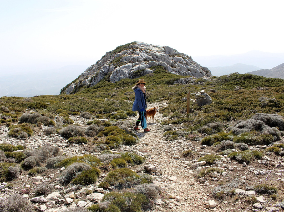 Parque Natural Sierra Magina-Albanchez de Magina必去景点