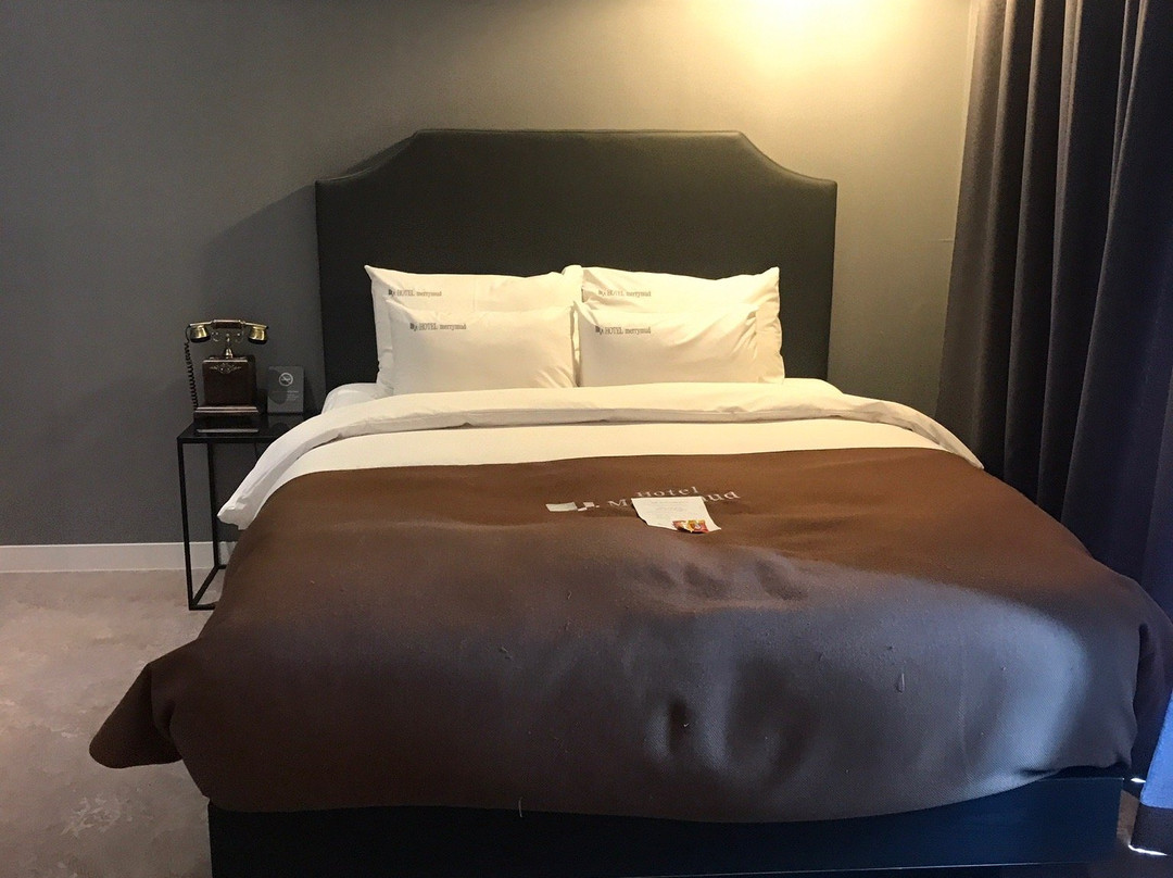 Hotel Merrymud主图