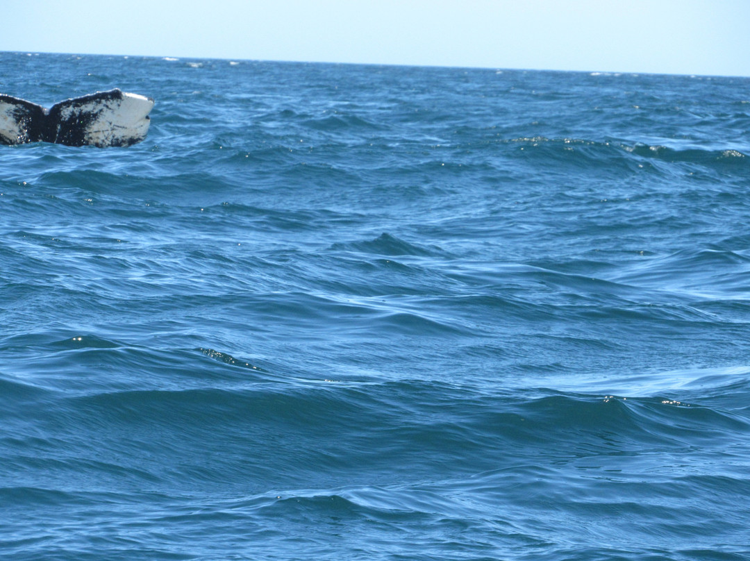 Ocean Explorations-Tiverton必去景点