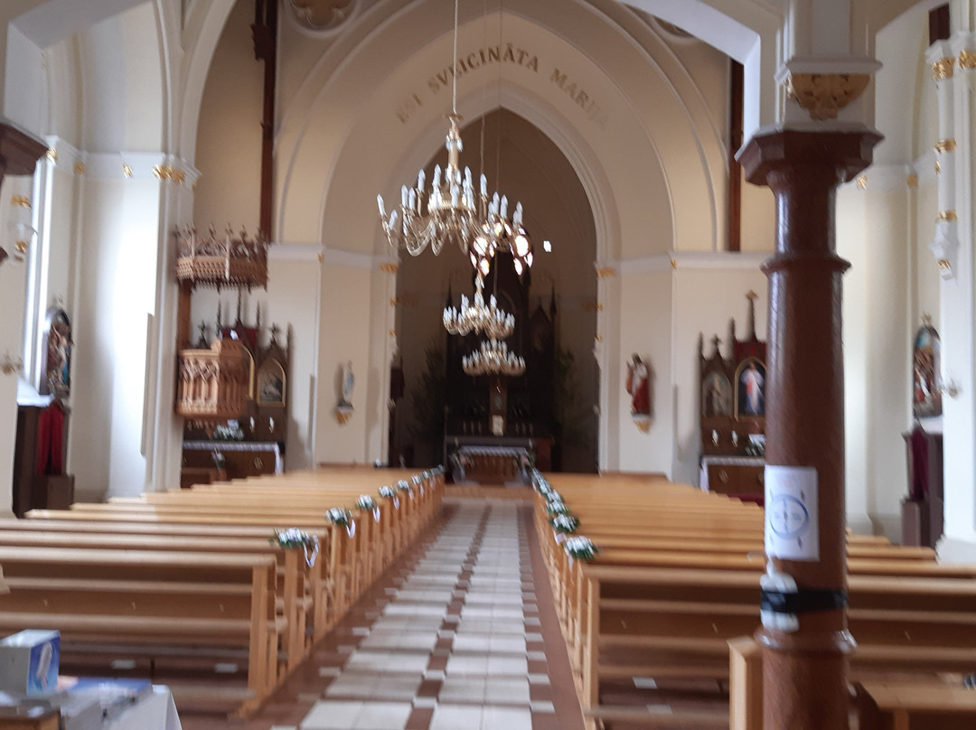 Virgin Anna Roman Catholic Cathedral-叶尔加瓦必去景点