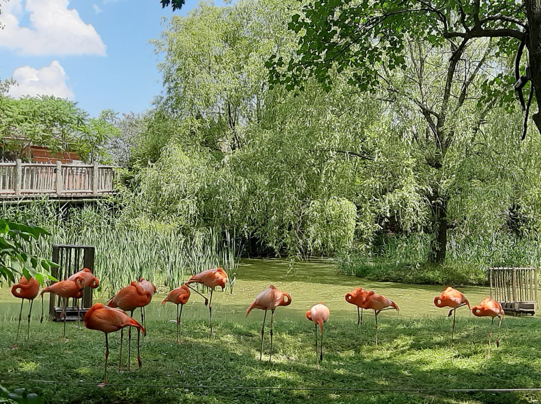 Zoo de Granby景点图片