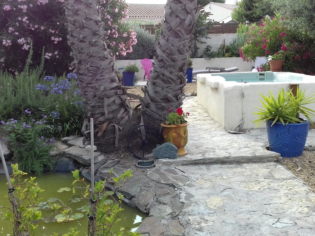 Au Jardin d'Amphora主图
