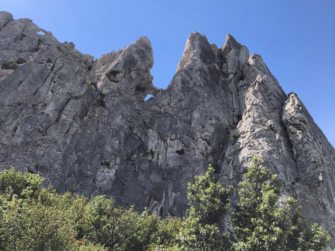 Dentelles De Montmirail景点图片