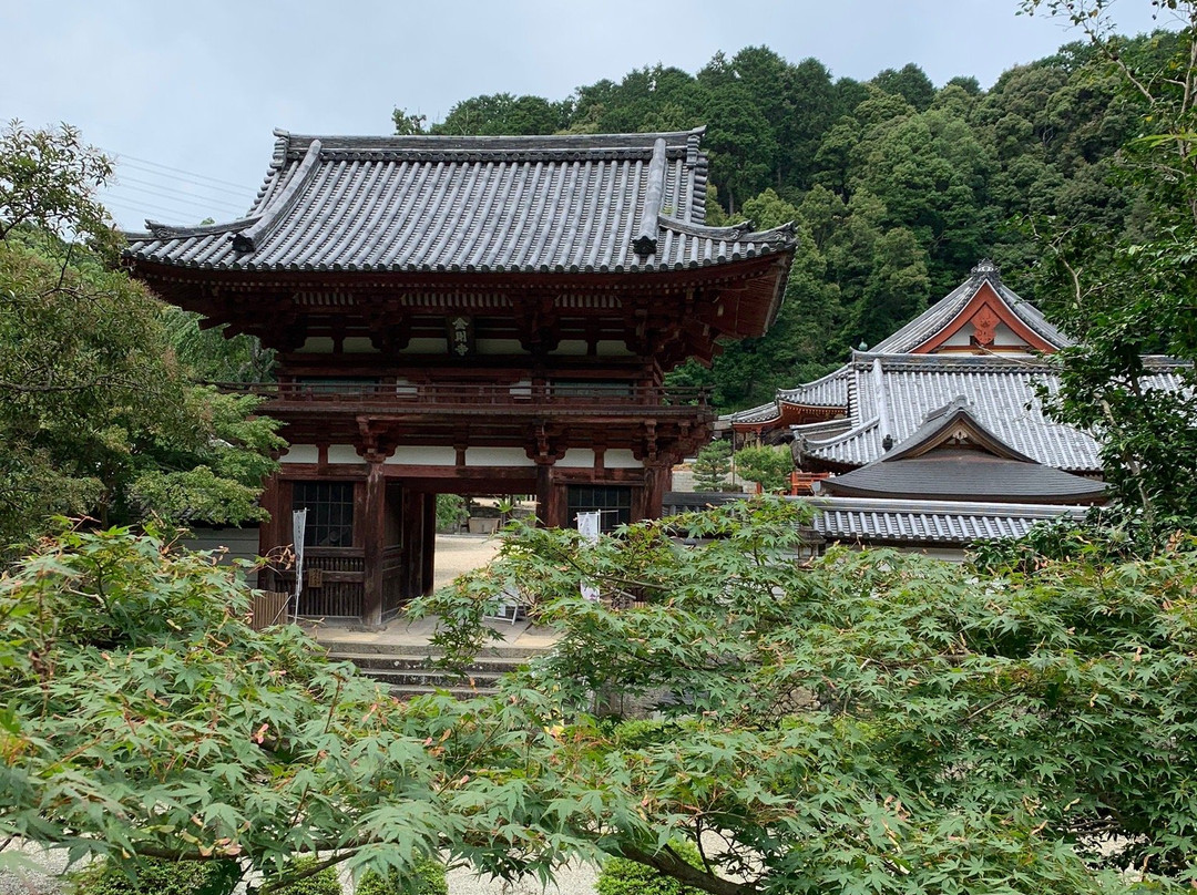 Kongoji Temple景点图片