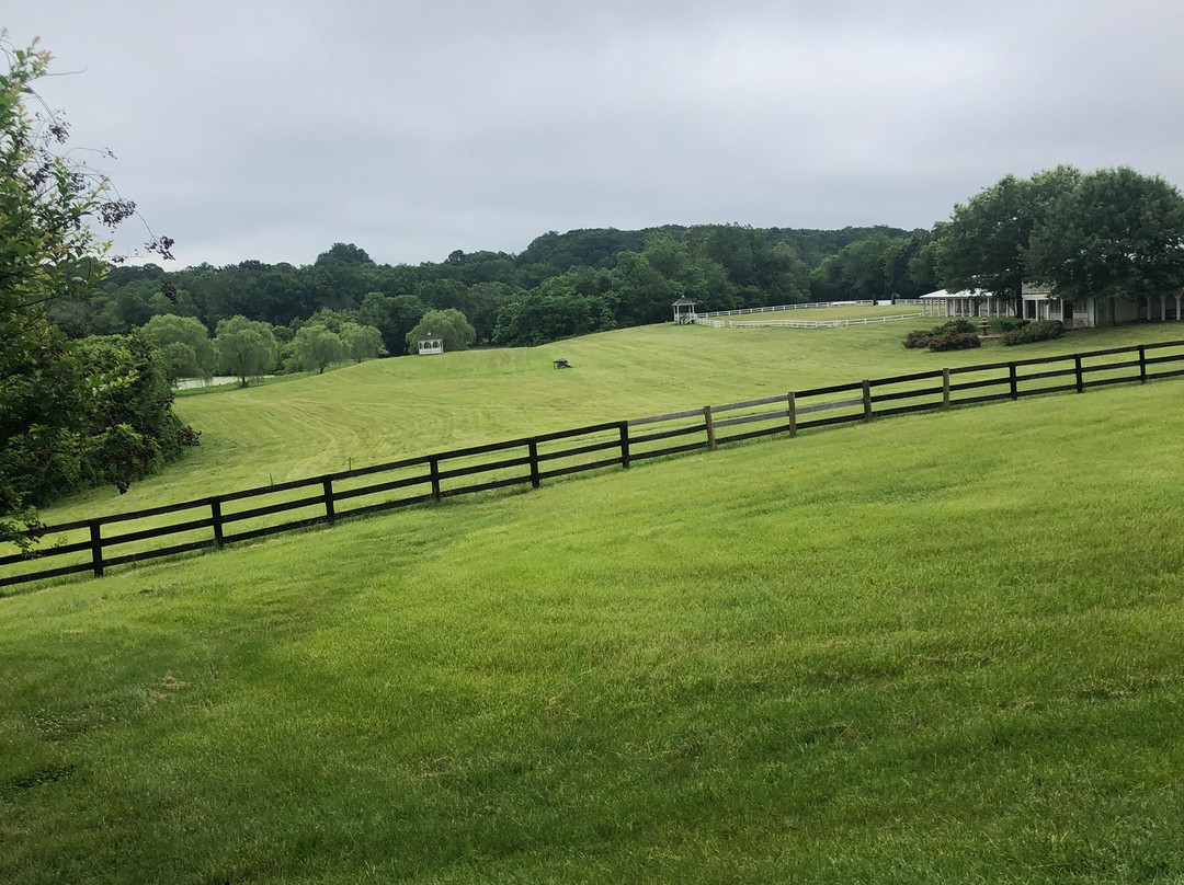 Inn at Kelly's Ford主图