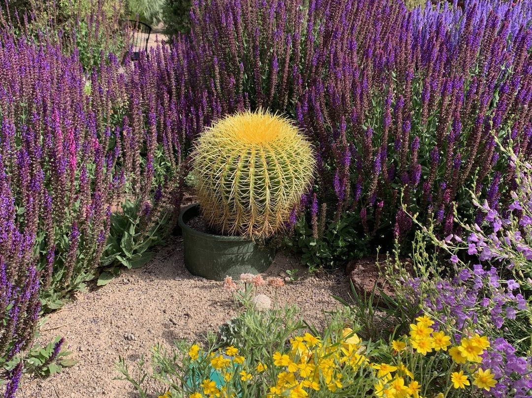 Orton Botanical Garden-特温福尔斯必去景点