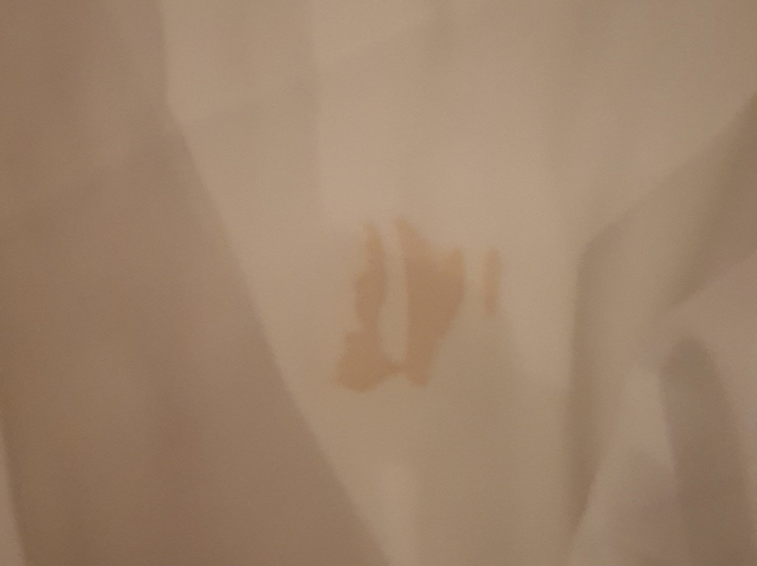 Squid's Ink Hotel主图