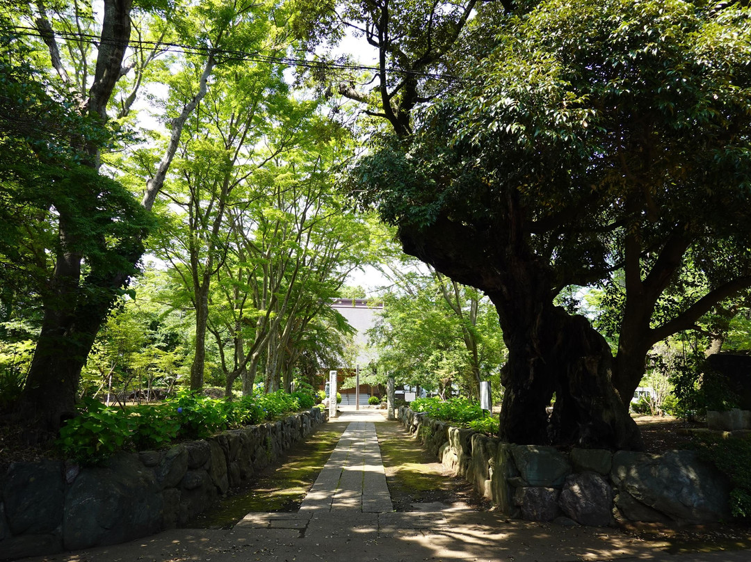 Senju-in Temple-佐仓市必去景点