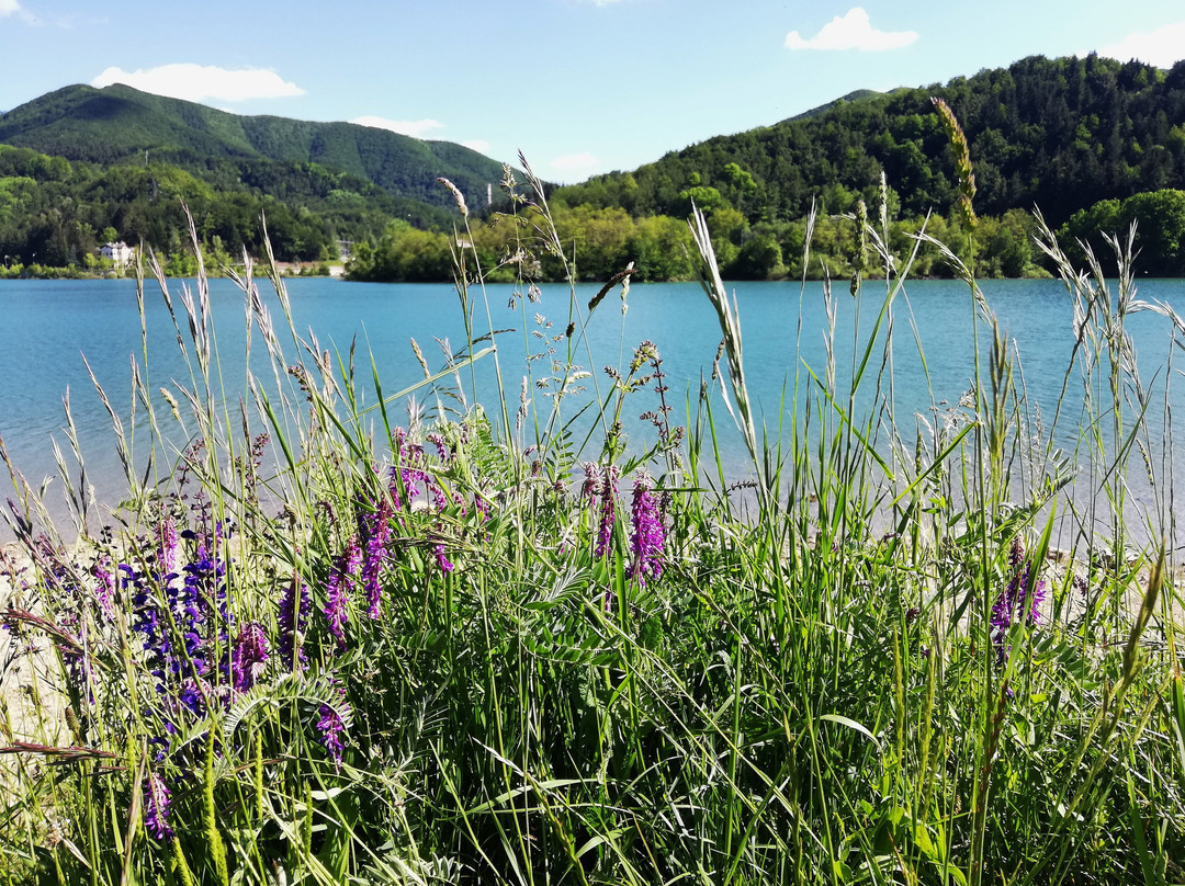 Lago del Brasimone景点图片