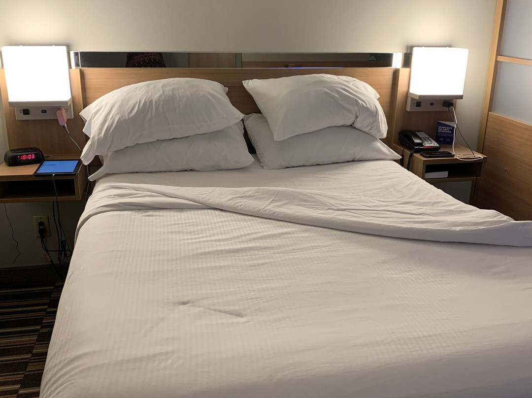 Microtel Inn & Suites by Wyndham Clarion主图