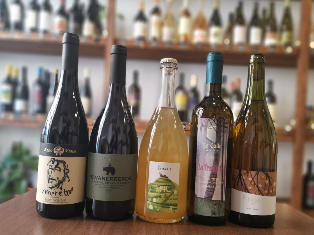 Simposio Biblio-Enoteca Naturale-都灵必去景点