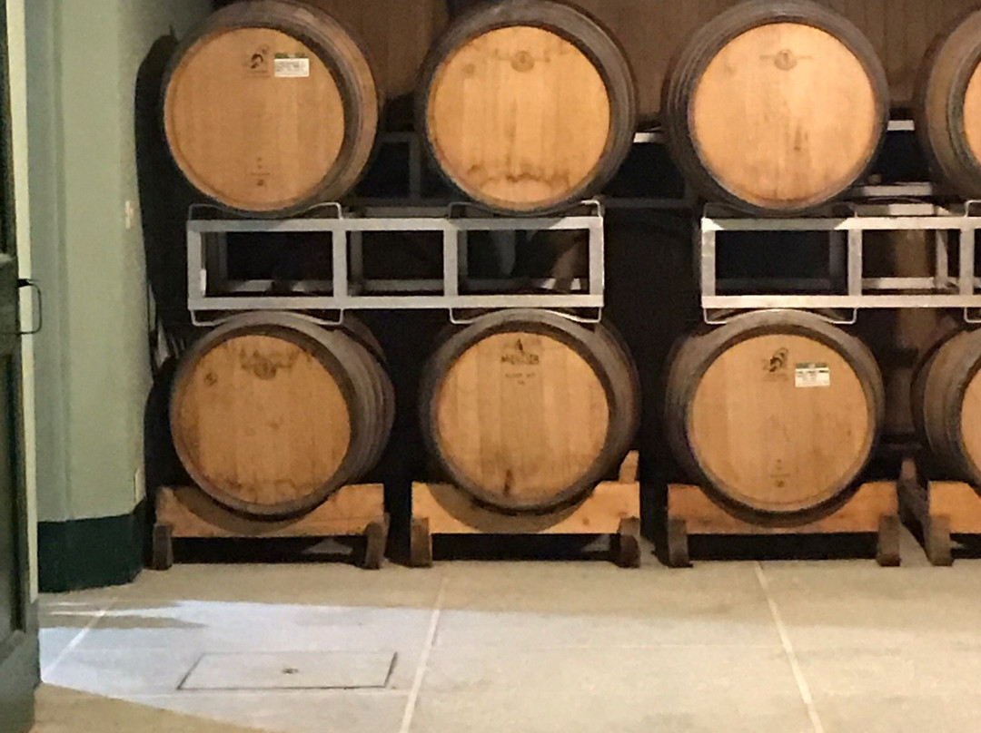 Marotti Campi-Morro d'Alba必去景点