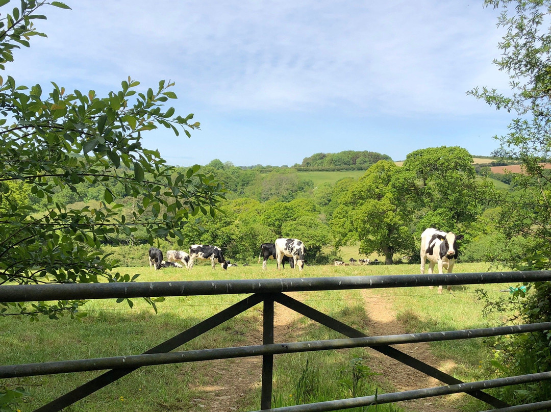 Grampound to Trewithen Circular Walk-Grampound必去景点