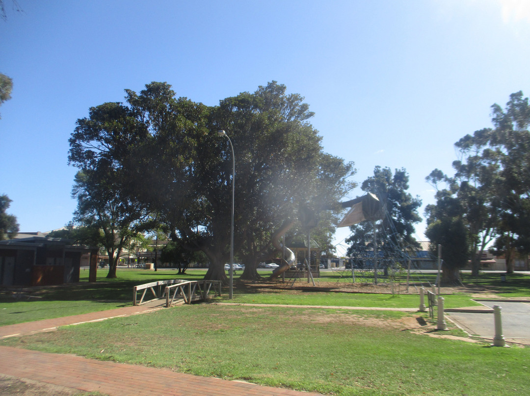 Victoria Square-Kadina必去景点