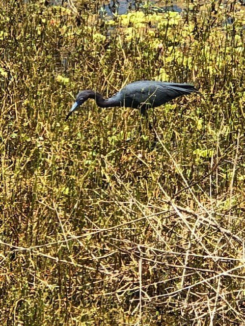 Cullinan Park-舒格兰必去景点