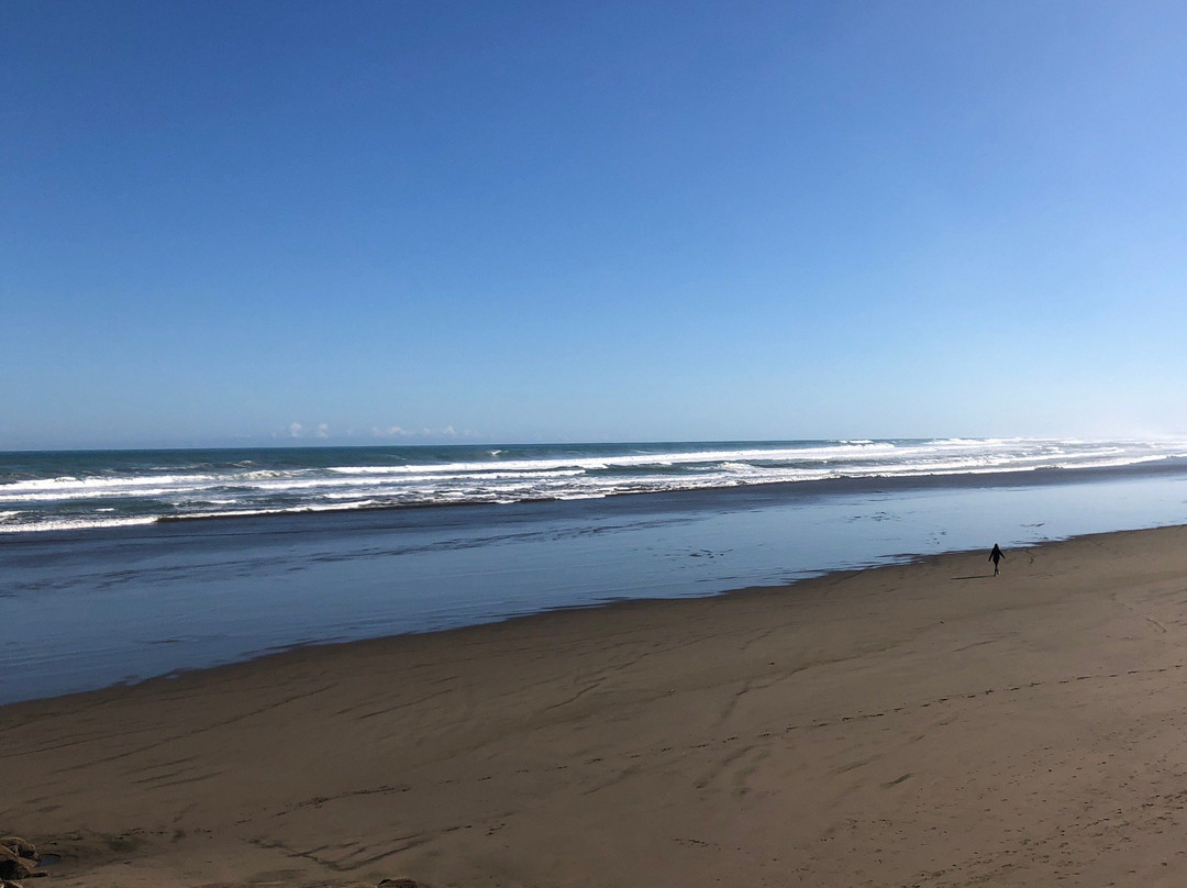 Muriwai Surf School-穆里怀海滩必去景点