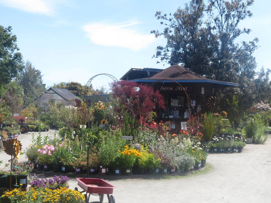 Sierra Azul Nursery & Garden-null必去景点
