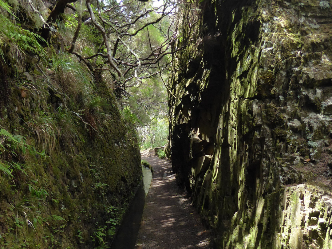25 Fontes and Cascada da Risco-马德拉群岛必去景点