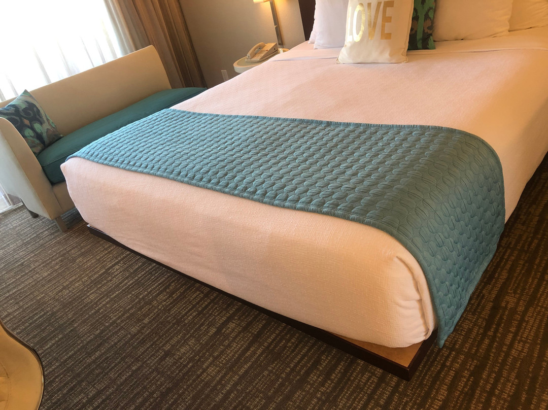 奥兰治县机场中庭酒店