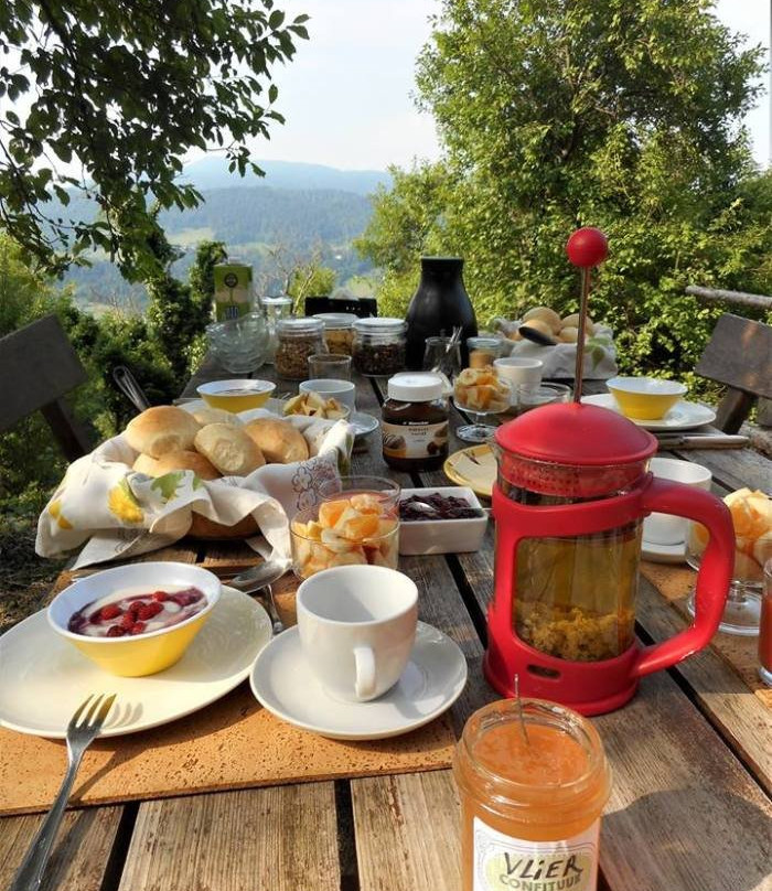 Eco Rooms Slovenia主图