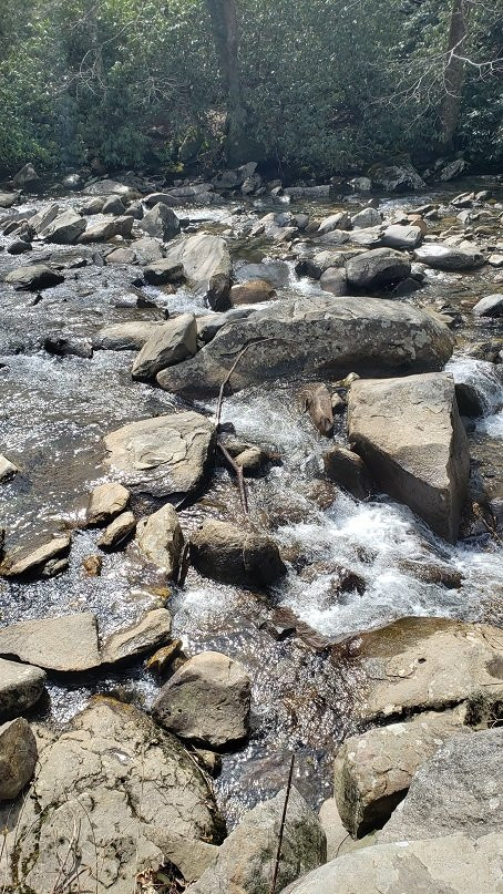 Great Smoky Mountains National Park-盖林柏格必去景点