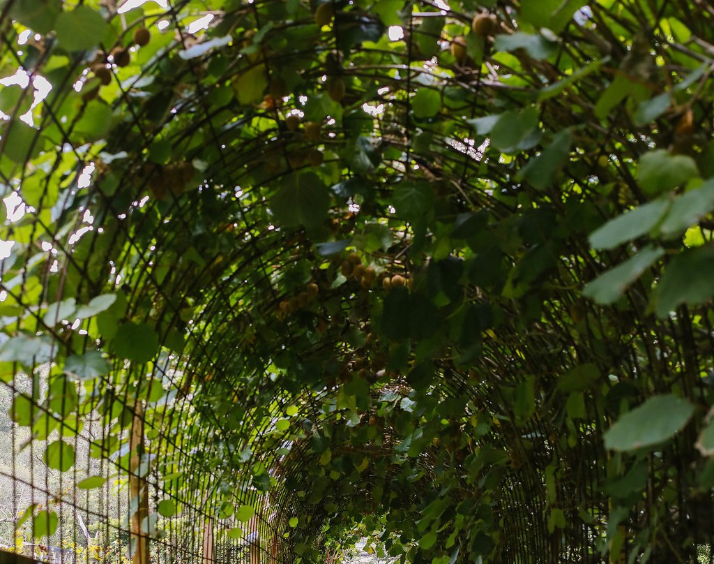 Firescreek Fruit Wines-Holgate必去景点