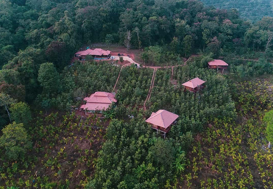 Forest Edge Holiday Retreat