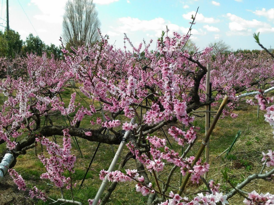 Togenkyo-纪之川市必去景点