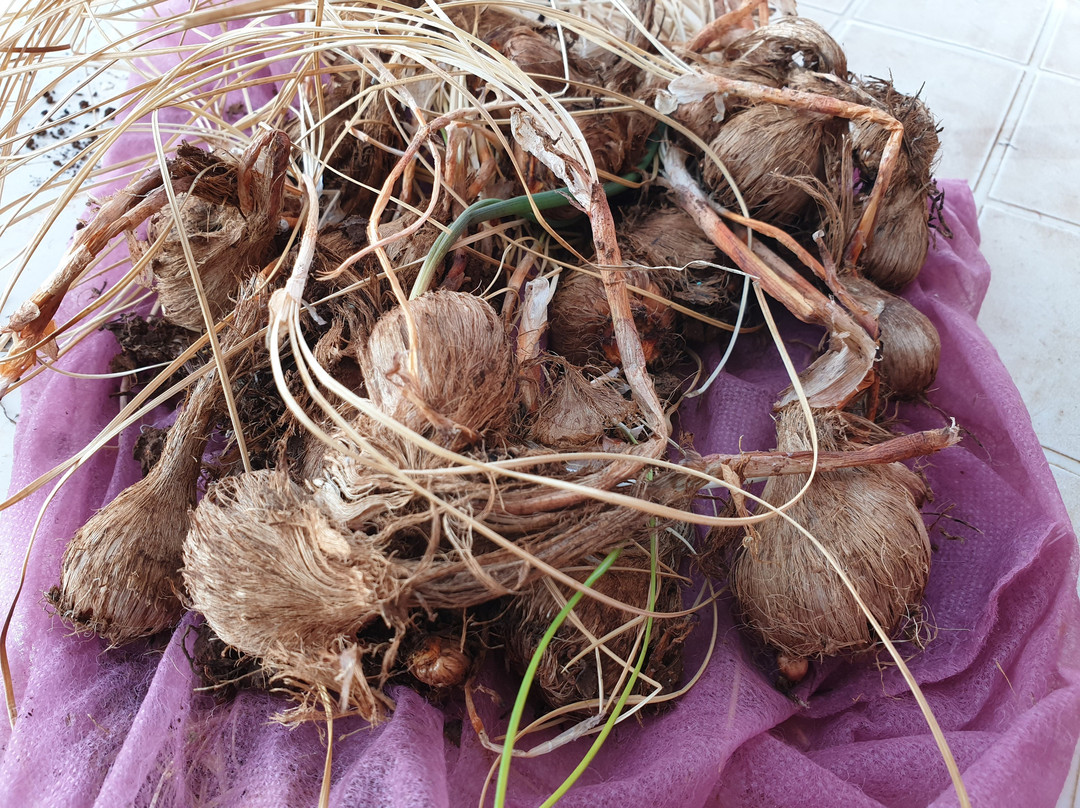 Le Jardin du safran-Ourika必去景点