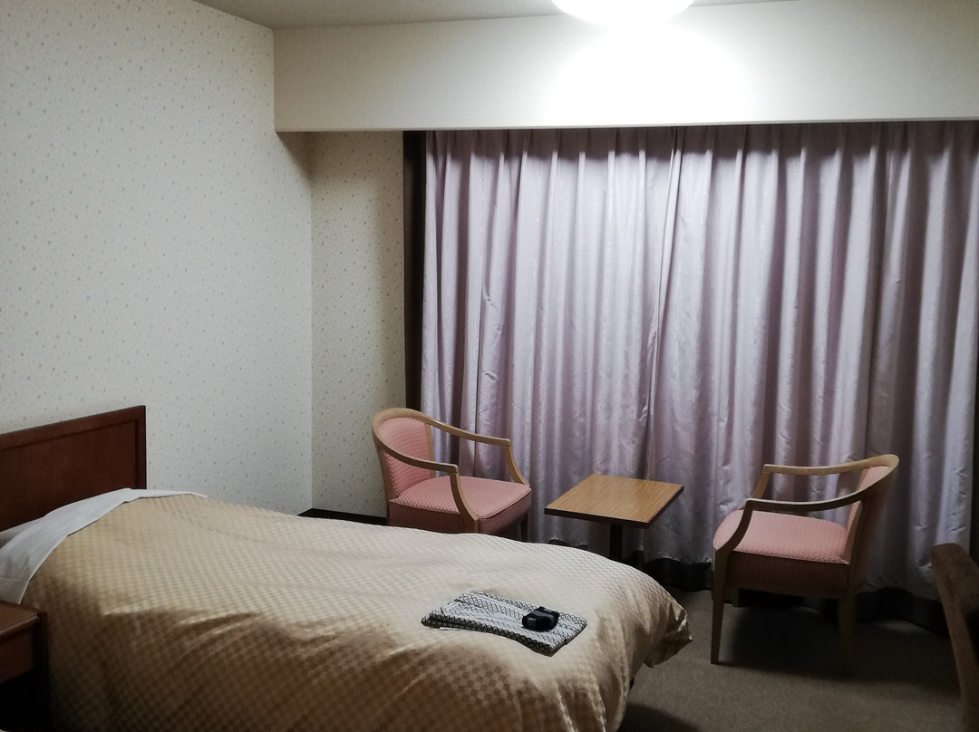 八代大酒店主图