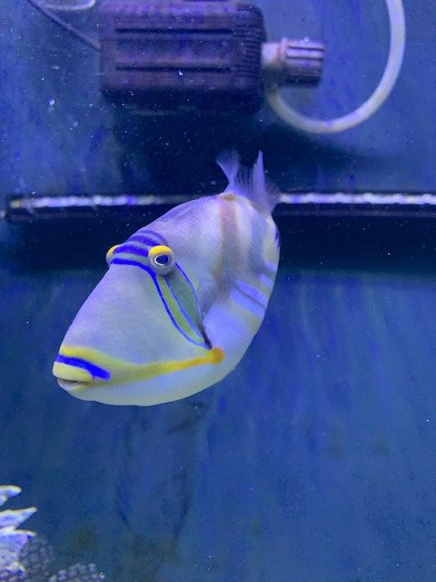 Discover Marine and Wildlife Eco Centre-阿罗朗吉必去景点