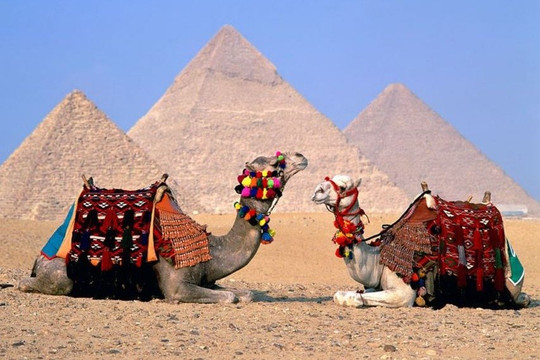 Tours Hurghada-赫尔格达必去景点