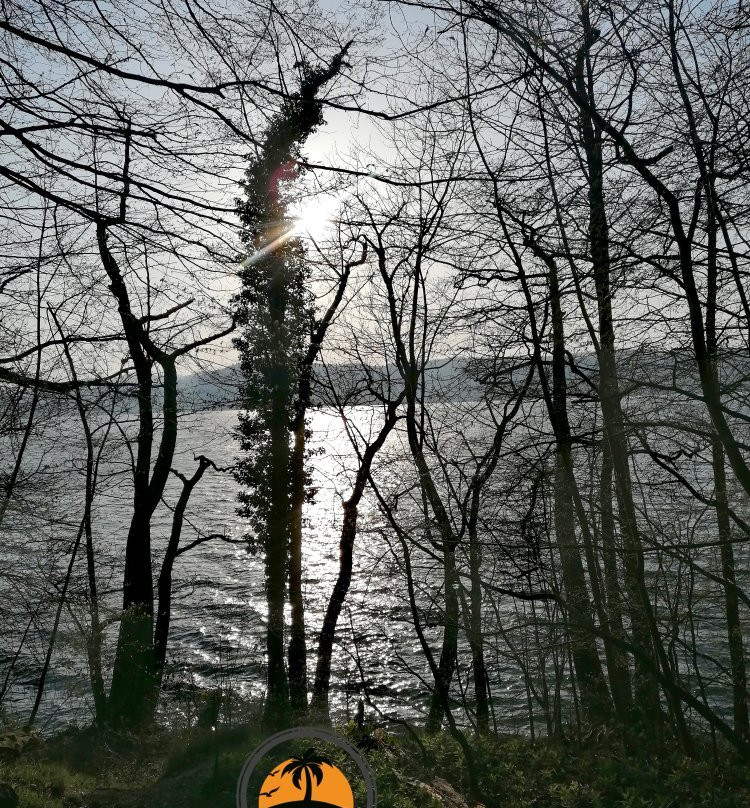 Laacher See-Glees必去景点