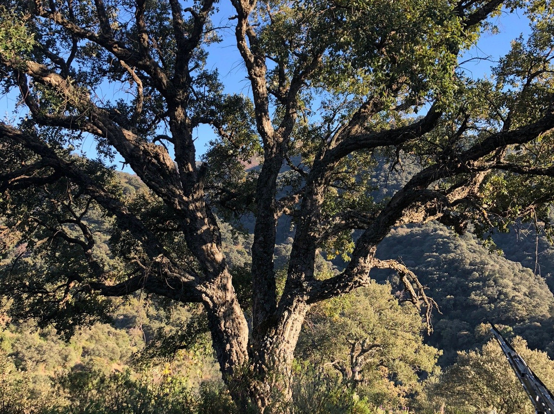 Secret Garden Retreats主图