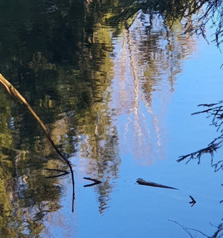 Kiikunlähde Spring-Hollola必去景点