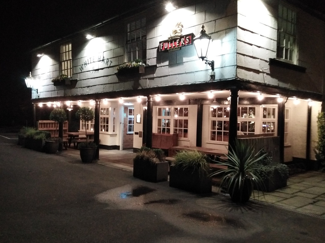 The White Hart Inn主图