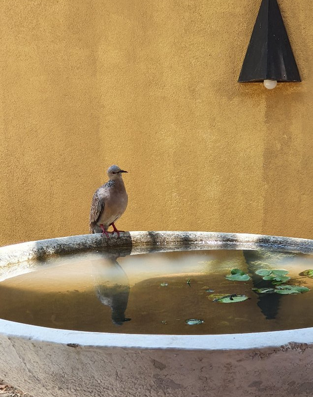 Rovenluck Eco Cabana主图