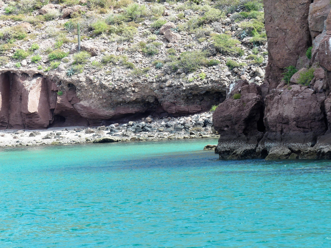 El Duque Adventures-拉巴斯必去景点