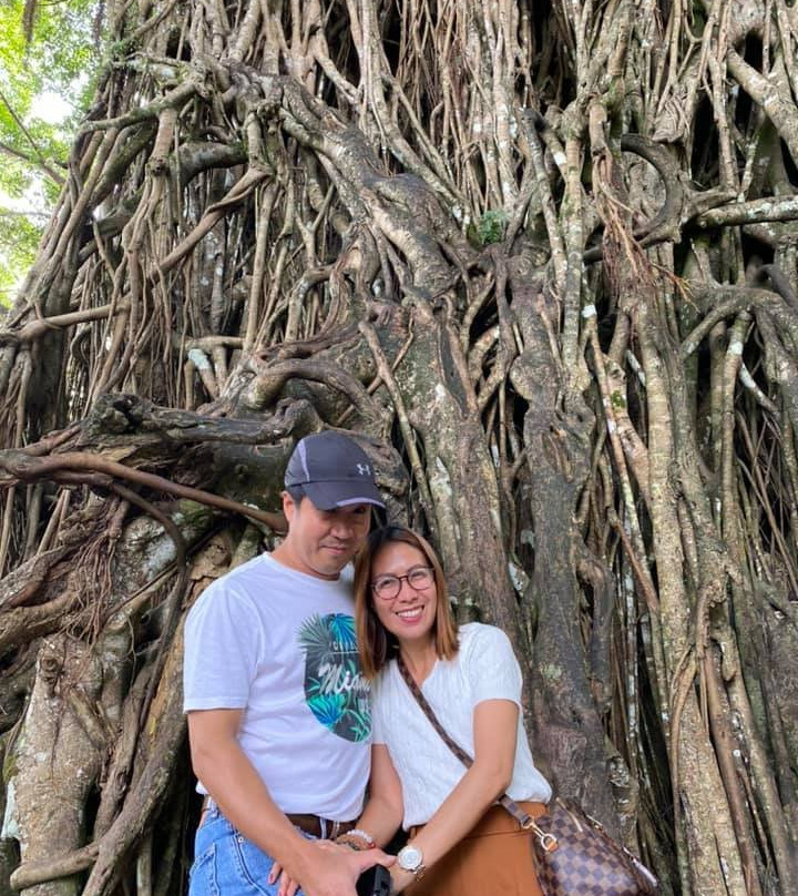 Millennium Tree (Balete tree)景点图片