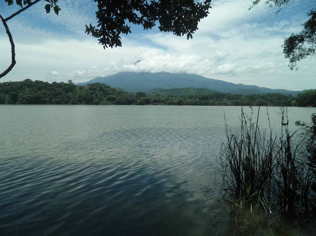 Lake Duluti景点图片