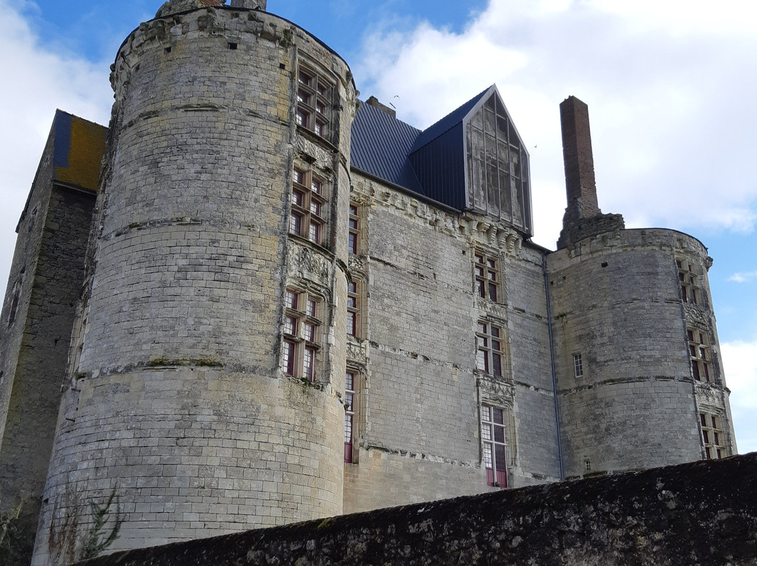 Chateau de Martigne Briand景点图片