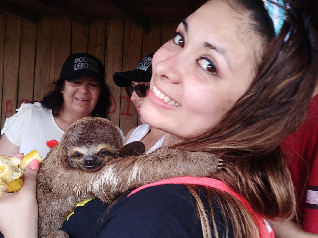 Hotel Amazon Bed & Breakfast主图