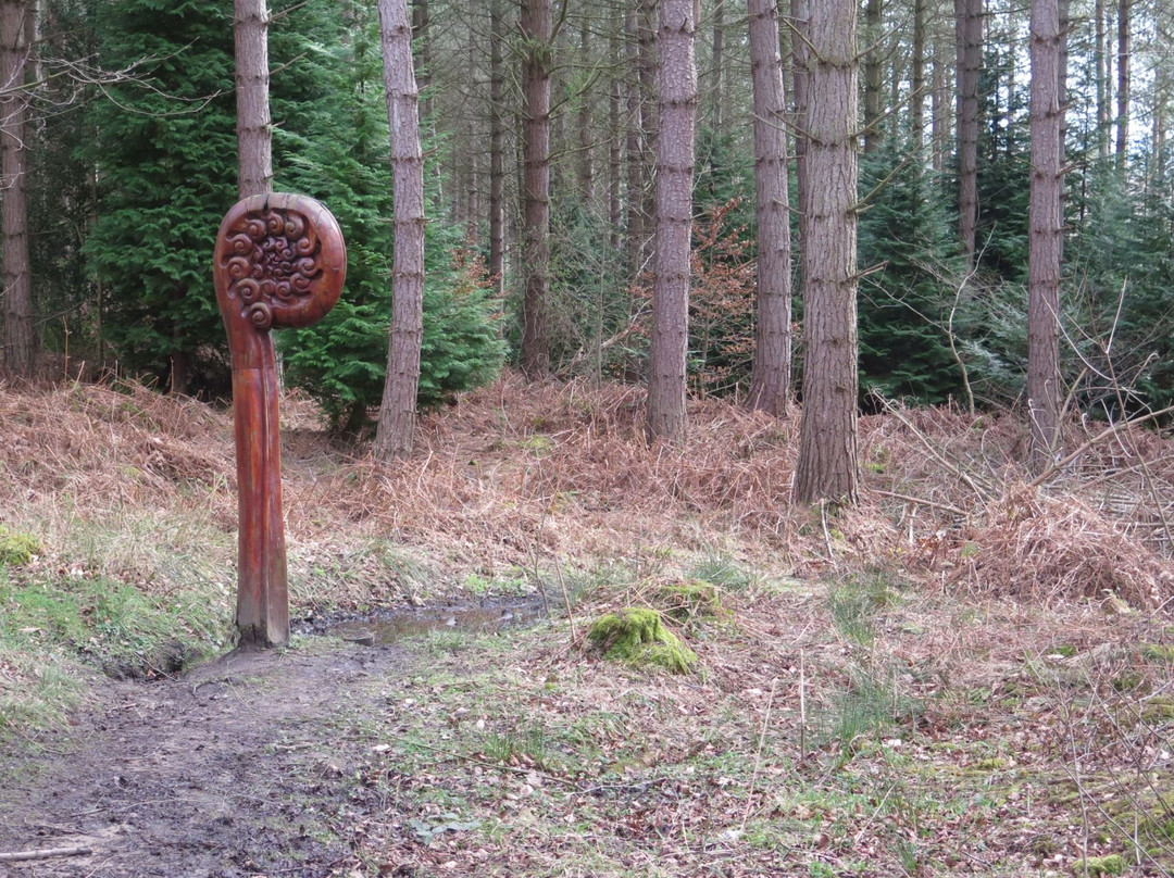 Chopwell Wood-Chopwell必去景点