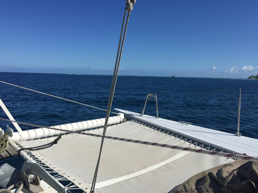 Sailing Catamaran Picante Private Day Tours-克朗波因特必去景点