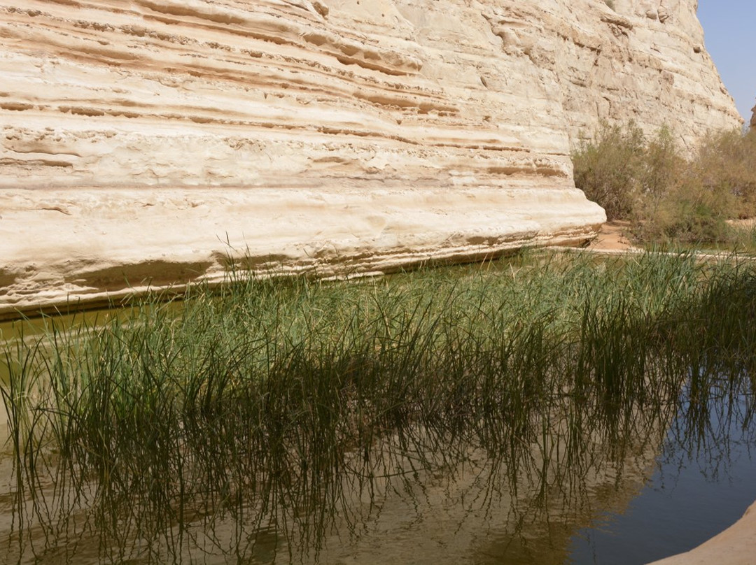 Ein Avdat National Park景点图片