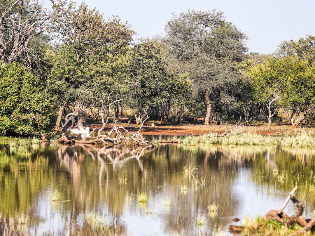 Zingela Nature Reserve景点图片