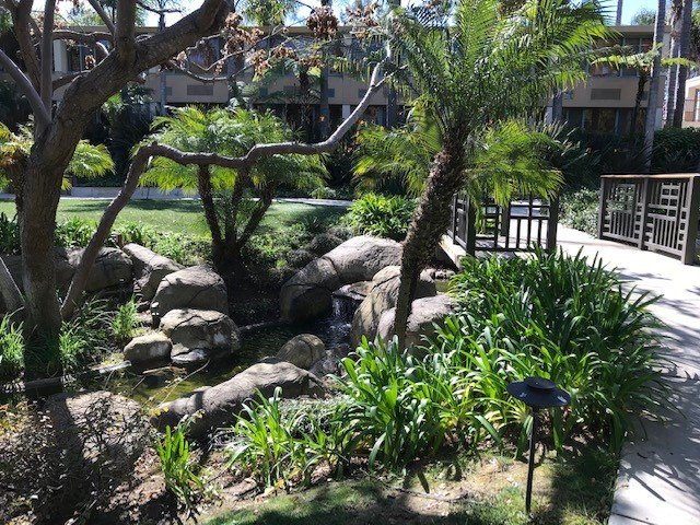 拉霍亚喜来登酒店主图