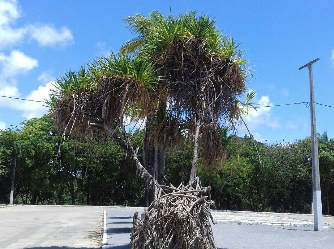 Mirante Andre Vidal de Negreiros-Jaboatao dos Guararapes必去景点