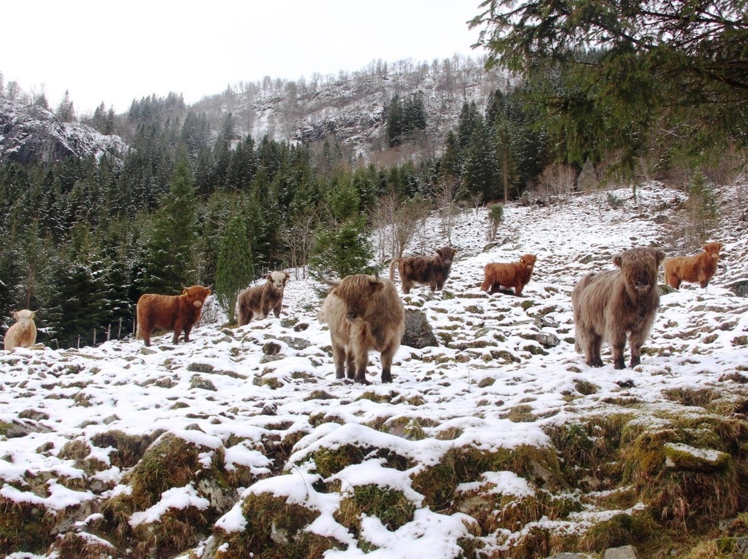Smiedal Aktivitetsferie - Day Tours-Akra必去景点