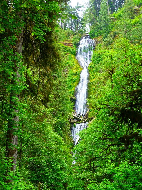 Munson Creek Falls-蒂拉穆克必去景点
